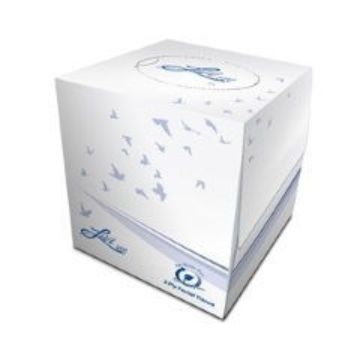 Picture of LIVI VPG CUBED FACIAL TISSUE VIRGIN FIBER 90 SHEET